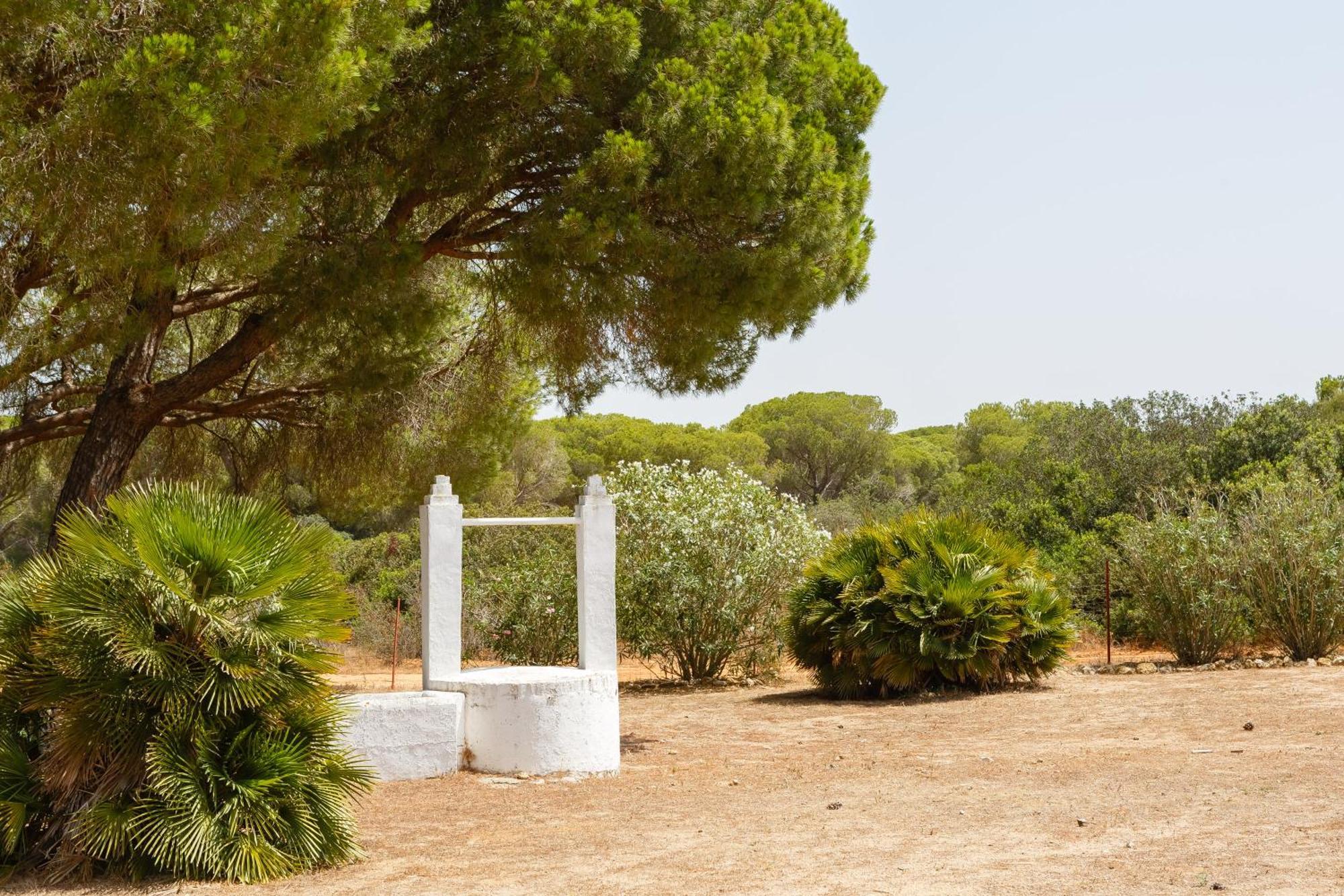 Casa Dehesa de las yeguas Cádiz Exterior foto