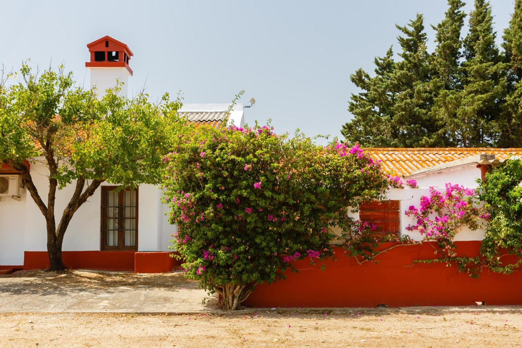 Casa Dehesa de las yeguas Cádiz Exterior foto
